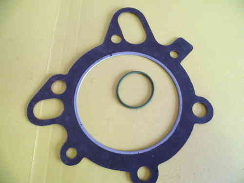 MT500 Head gasket and O ring
